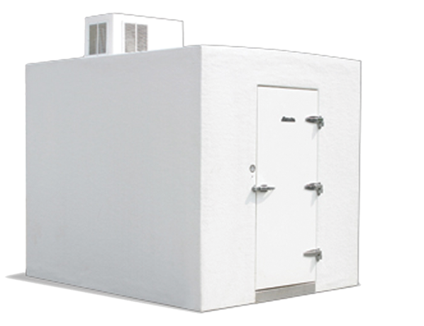 Polar store king coolers